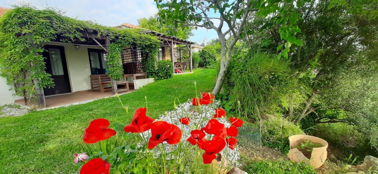 The Gallipoli Houses Eceabat Exterior photo